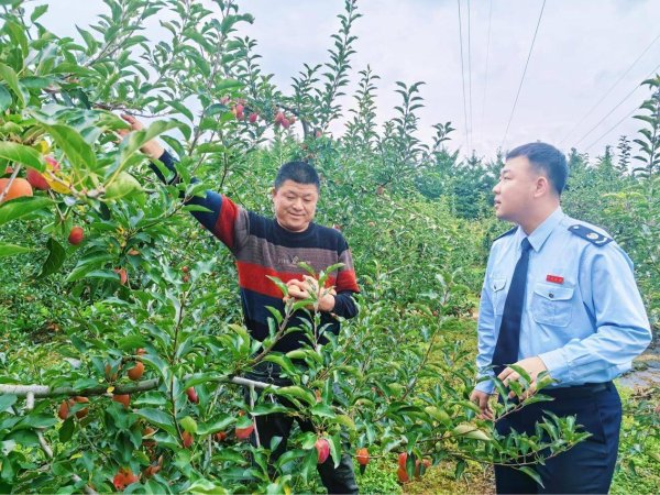 信通实盘 辽宁：税务合规助农企 为丰收添彩