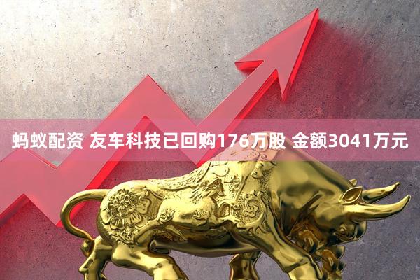 蚂蚁配资 友车科技已回购176万股 金额3041万元
